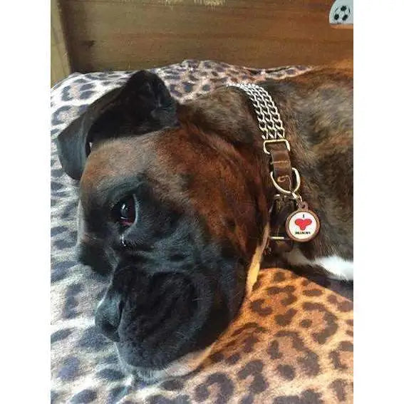 I Love Mummy Pet Id Tag - Ps Pet Tags - 3