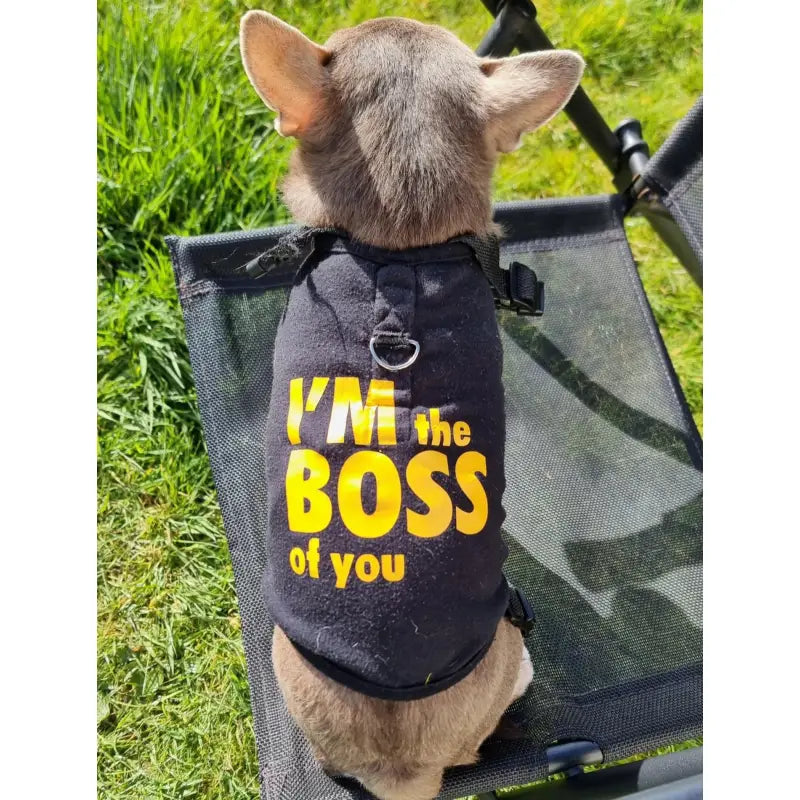 I’m The Boss Of You Harness Lined Dog T - shirt Black - Urban Pup 2