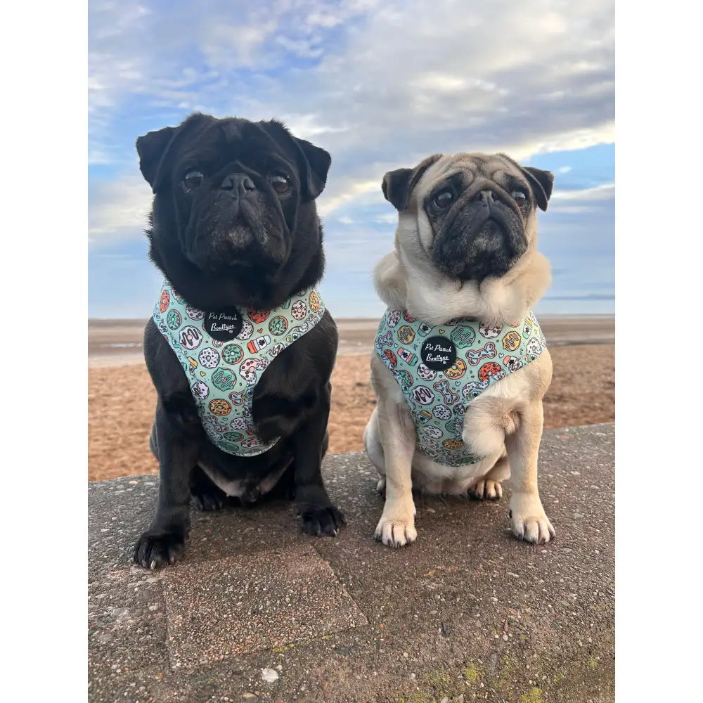 Iced Doughnuts & Coffee Dog Harness - Pet Pooch - 7