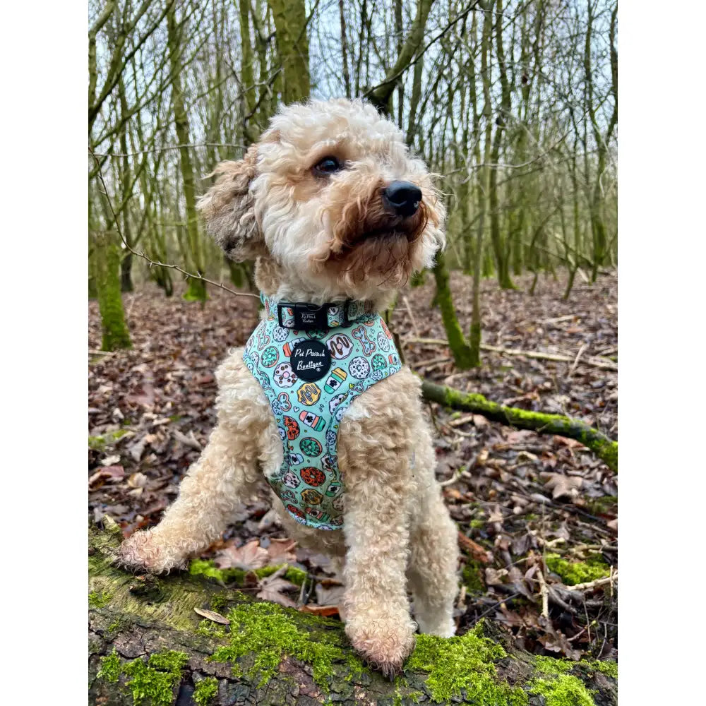 Iced Doughnuts & Coffee Dog Harness - Pet Pooch - 6