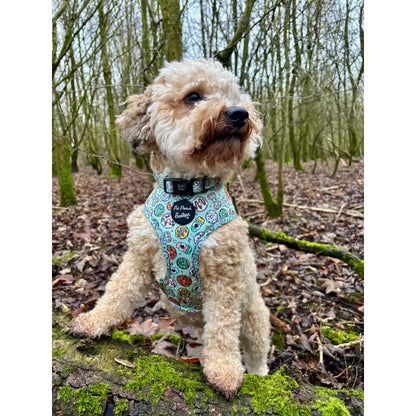 Iced Doughnuts & Coffee Dog Harness - Pet Pooch - 6