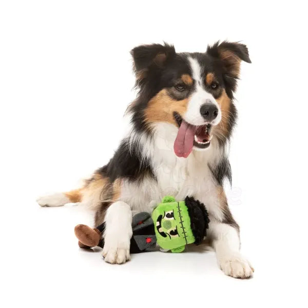 Igor Halloween Dog Toy by Fuzzyard - Fuzzyard - 5