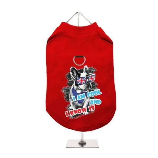 I’m Cool and i Know it Harness Lined Dog T-shirt - Urban - 1