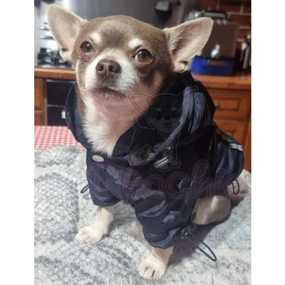Ink Blue Dog Raincoat - Sale - 3
