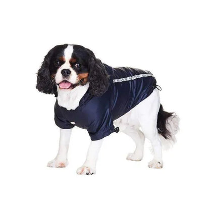 Ink Blue Dog Raincoat - Sale - 1