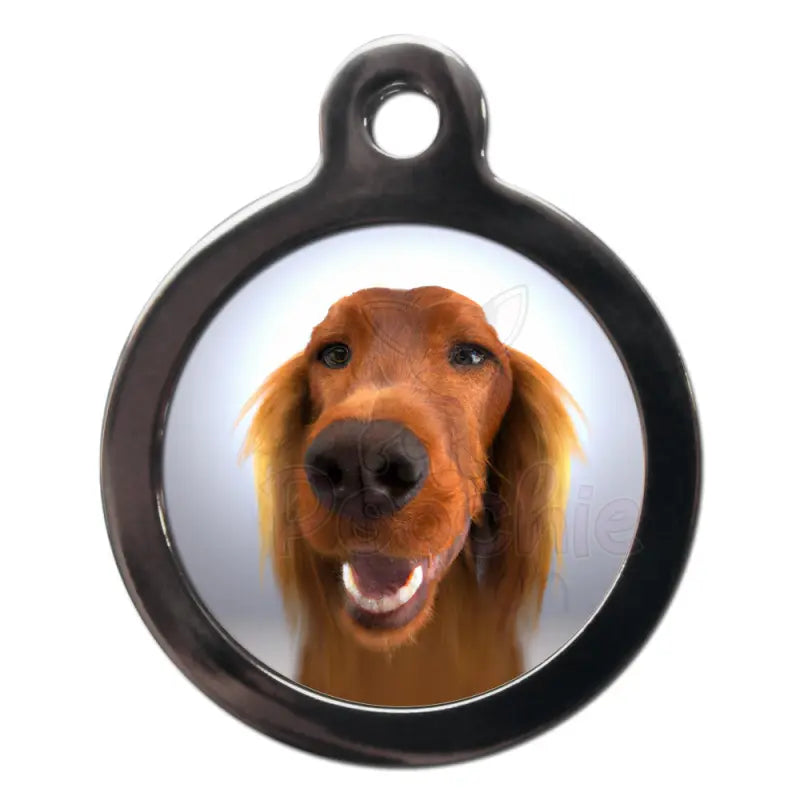 Irish Setter Fish Eye Dog Id Tag - Ps Pet Tags - 1