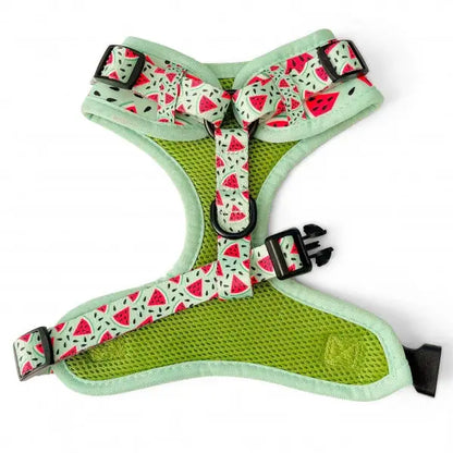 Juicy Fruit Adjustable Neck Dog Harness - Piggie - 3