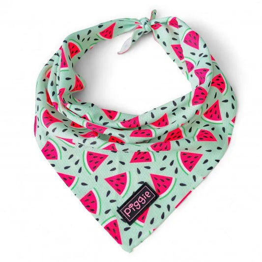 Juicy Fruit Tie On Dog Bandana - Piggie - 1