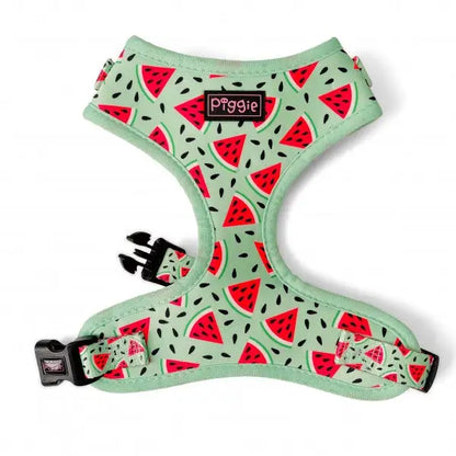 Juicy Watermelon Adjustable Neck Dog Harness - Piggie - 1
