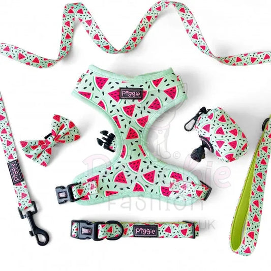 Juicy Watermelon Adjustable Neck Dog Harness - Piggie - 2