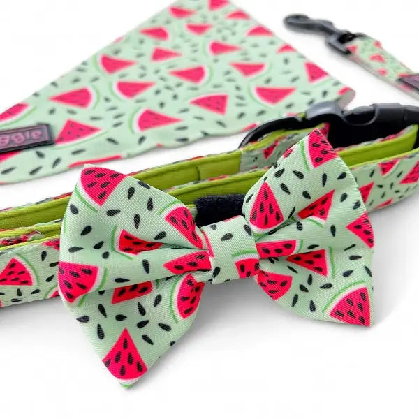 Juicy Watermelon Dog Bow Tie - Piggie - 1
