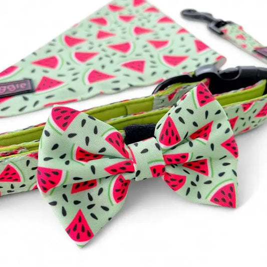 Juicy Watermelon Dog Bow Tie - Piggie - 1