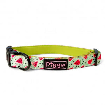 Juicy Watermelon Dog Collar - Piggie - 1