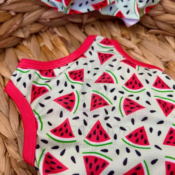 Juicy Watermelon Dog Cooling Vest - Rich Paw - 2