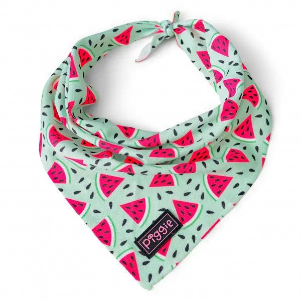 Juicy Watermelon Tie on Dog Bandana - Piggie - 1