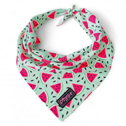 Juicy Watermelon Tie on Dog Bandana - Piggie - 1