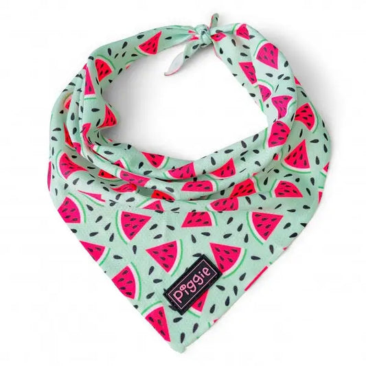 Juicy Watermelon Tie on Dog Bandana - Piggie - 1