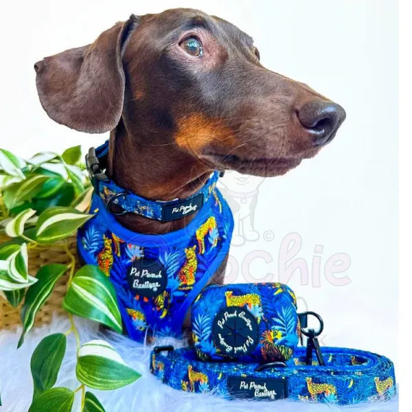 Jungle Cats Dog Lead - Pet Pooch - 2