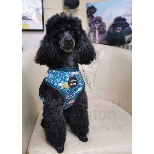 Jurassic Forest Dog Harness - Pet Pooch - 4