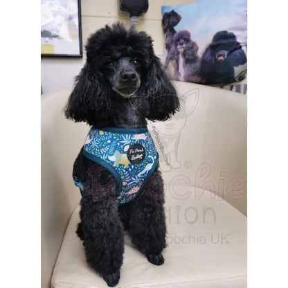 Jurassic Forest Dog Harness - Pet Pooch - 4