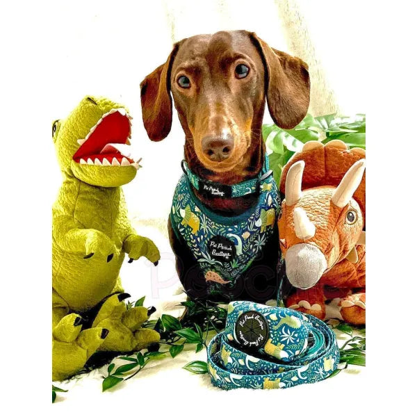 Jurassic Forest Dog Lead - Pet Pooch - 2
