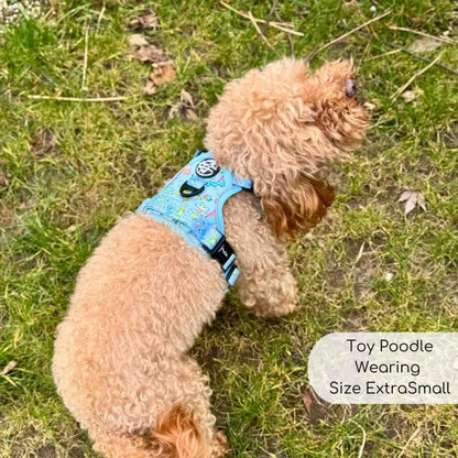 Jurassic Party Rugged Rover™ Dog Harness - Pupclub Couture - 6