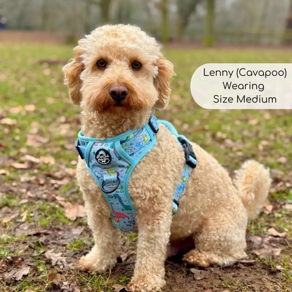 Jurassic Party Rugged Rover™ Dog Harness - Pupclub Couture - 3