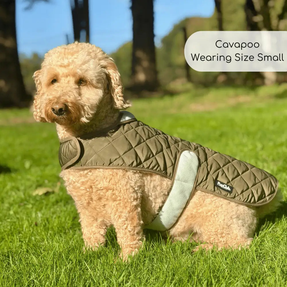 Khaki Tweed Quilted Dog Coat – Water-resistant Tweed & Fleece Jacket - Pupclub Couture - 8