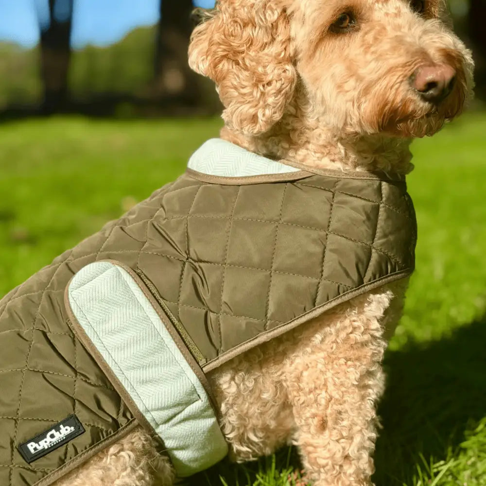 Khaki Tweed Quilted Dog Coat – Water-resistant Tweed & Fleece Jacket - Pupclub Couture - 7