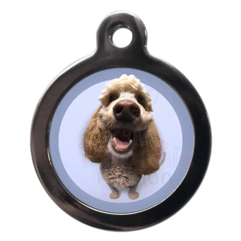 Labradoodle Fish Eye Lens Dog Id Tag - Ps Pet Tags - 1
