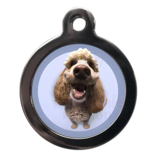 Labradoodle Fish Eye Lens Dog Id Tag - Ps Pet Tags - 1