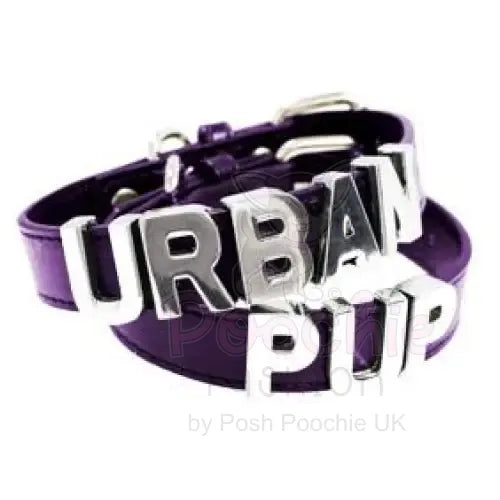 Large Chrome Dog Collar Slider Letters - Urban - 2