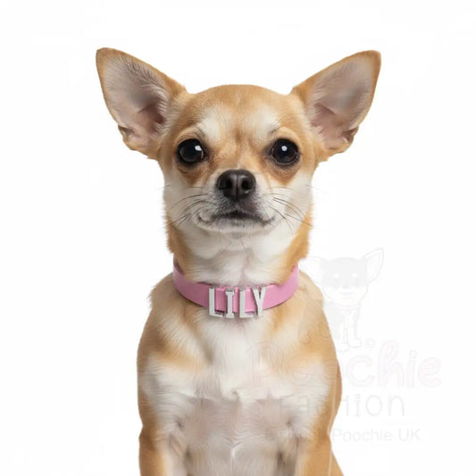 Lavender Pink Waterproof Personalised Dog Collar with Chrome Letters - Poochie Fashion - 2