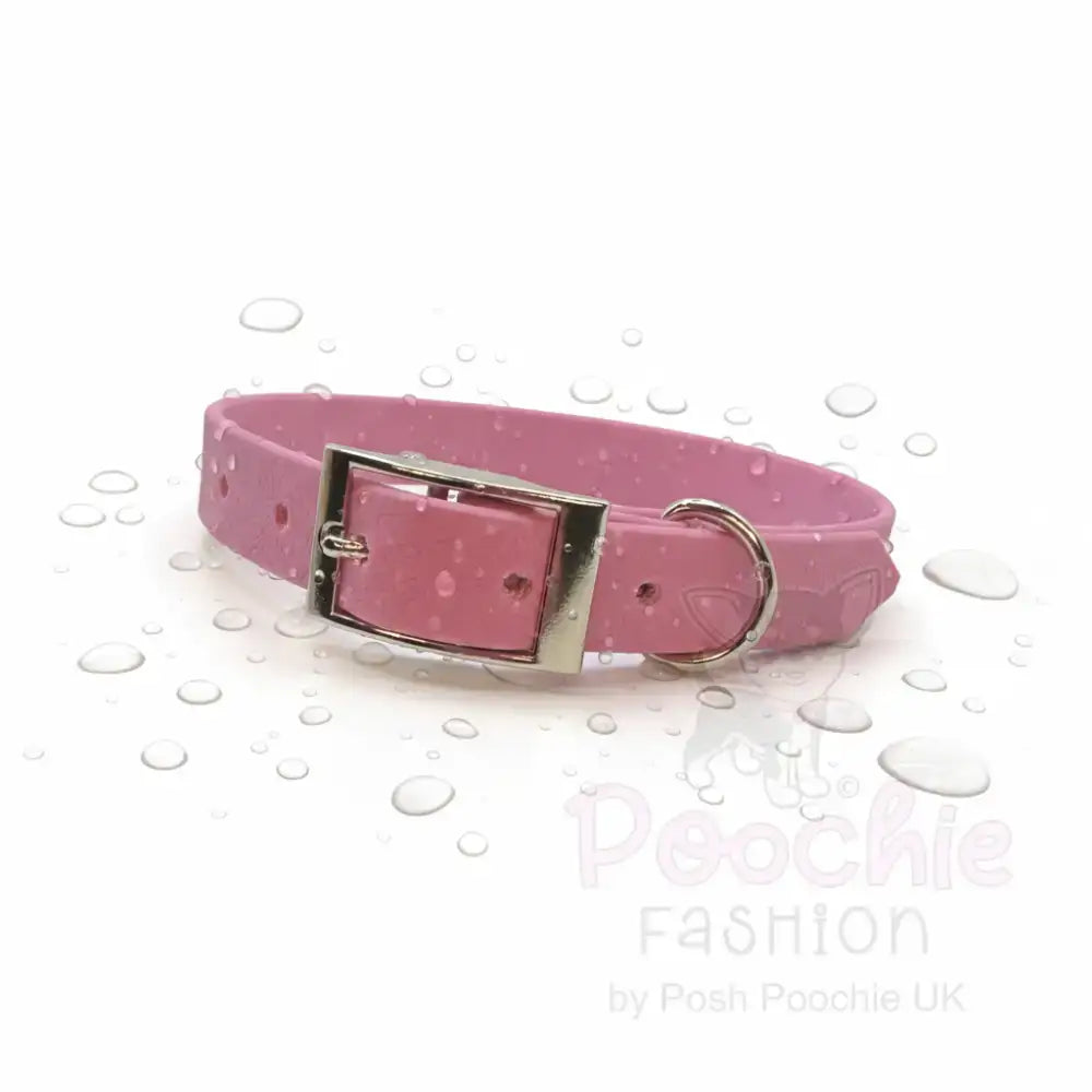 Lavender Pink Waterproof Personalised Dog Collar with Chrome Letters - Poochie Fashion - 4