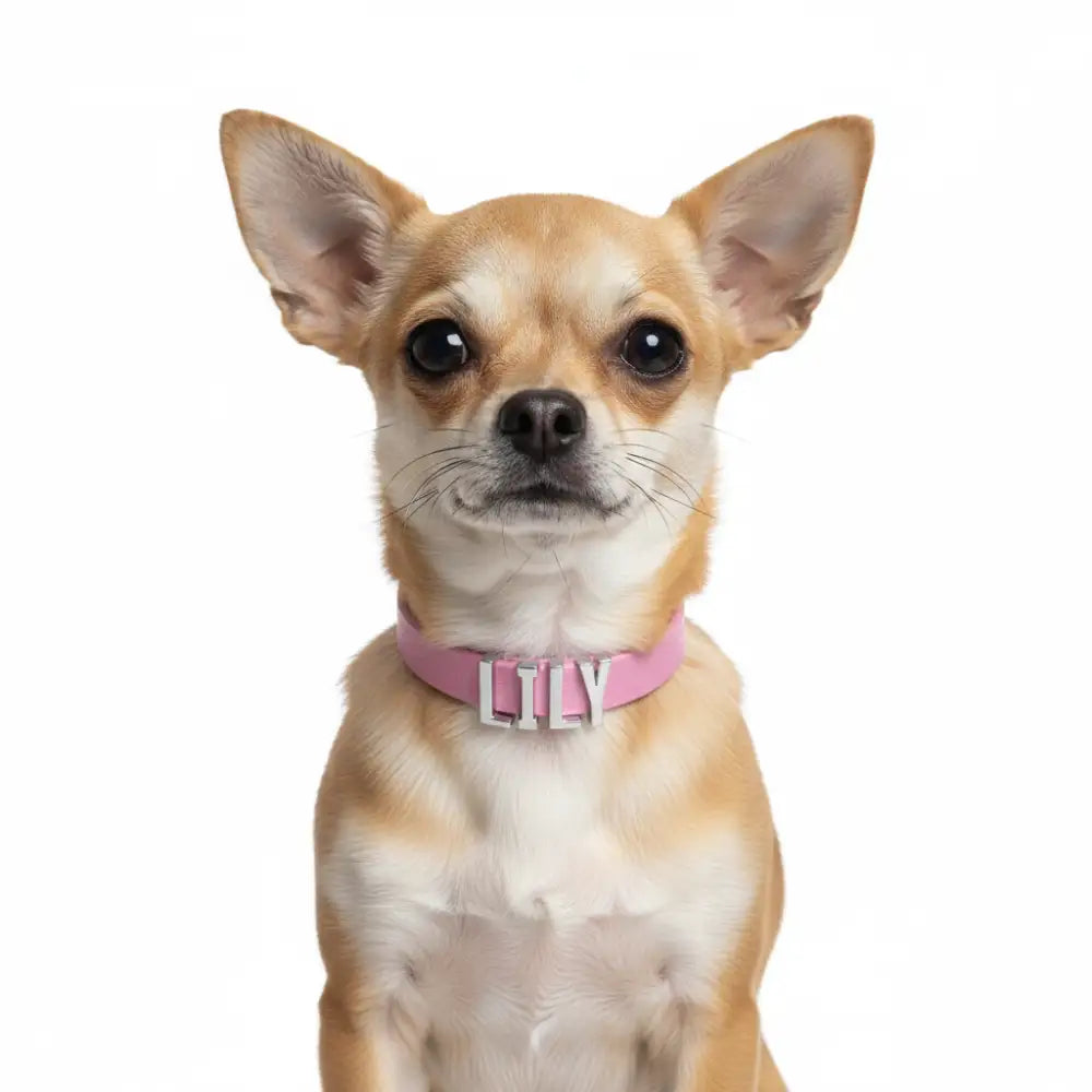 Lavender Pink Waterproof Personalised Dog Collar with Large Chrome Letters - Poochie Fashion - 2