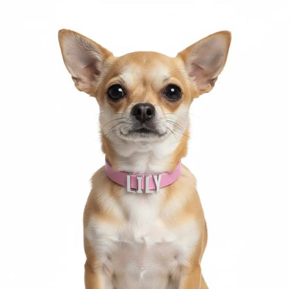 Lavender Pink Waterproof Personalised Dog Collar with Large Chrome Letters - Poochie Fashion - 2