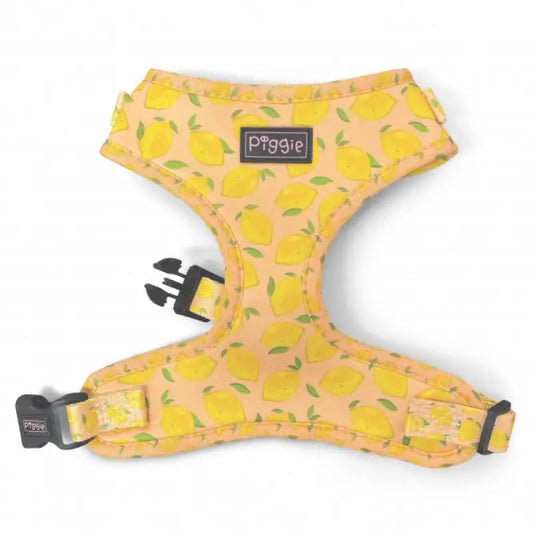 Lemon Squeeze Adjustable Dog Harness - Piggie - 1