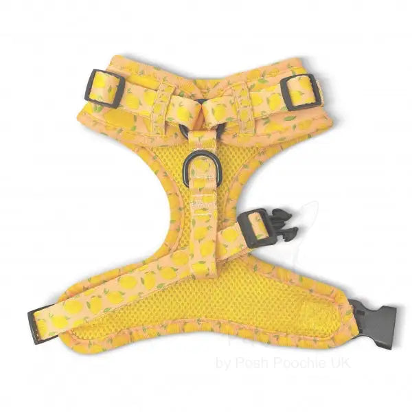 Lemon Squeeze Adjustable Dog Harness - Piggie - 3