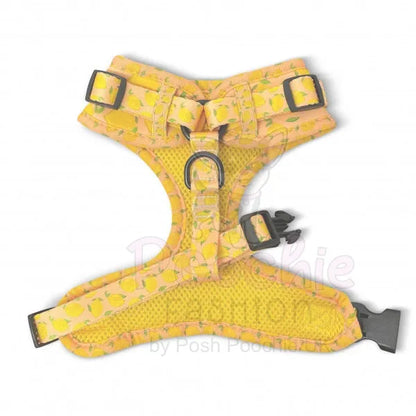 Lemon Squeeze Adjustable Dog Harness Piggie 3