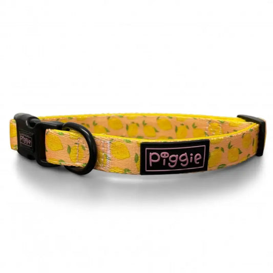 Lemon Squeeze Dog Collar - Piggie - 1