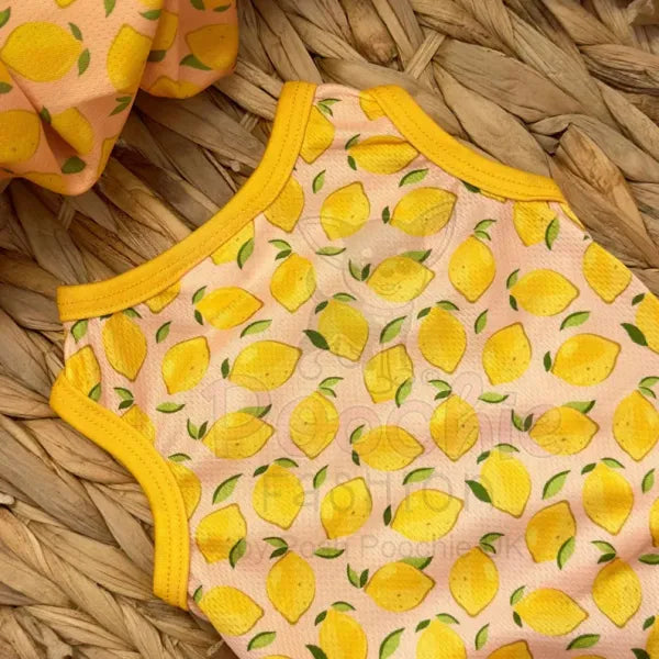 Lemon Squeeze Dog Cooling Vest - Rich Paw - 2
