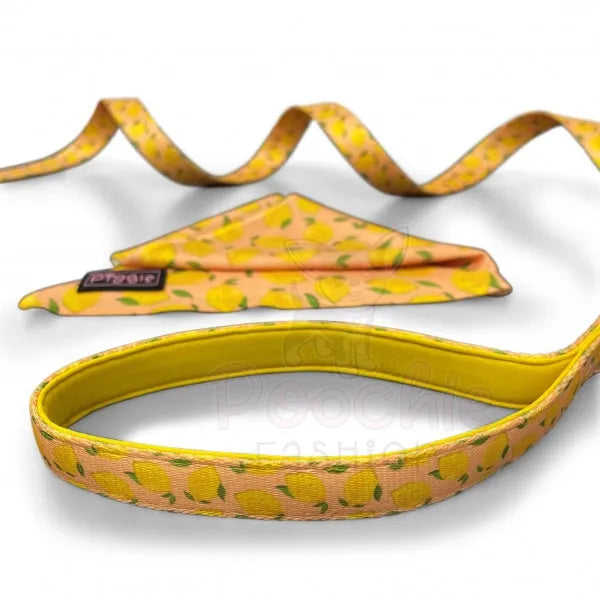 Lemon Squeeze Dog Lead - Piggie - 2