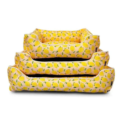 Lemon Squeeze Luxury Dog Bed - Piggie - 2