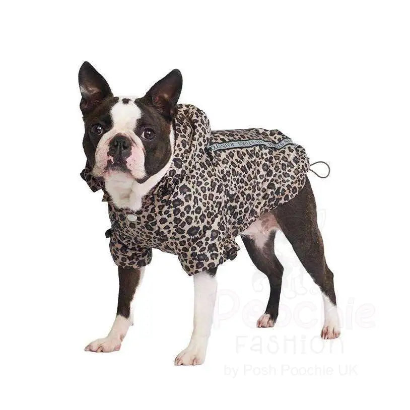 Leopard Fleece Lined Rainstorm Dog Rain Coat - Posh Pawz - 4