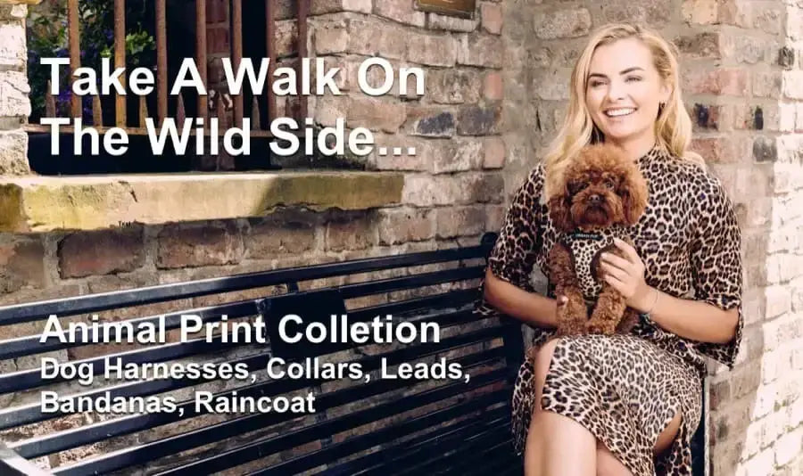 Poochie sales dog clothes