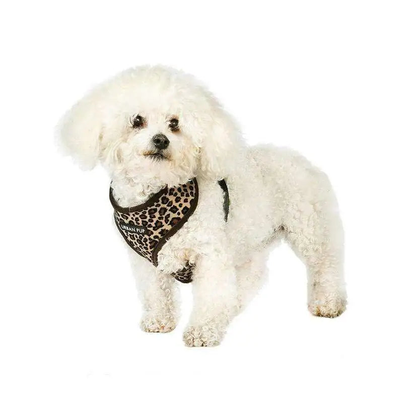 Leopard Plush Dog Harness & Lead Set - Posh Pawz - 2