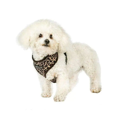 Leopard Plush Dog Harness & Lead Set - Posh Pawz - 2