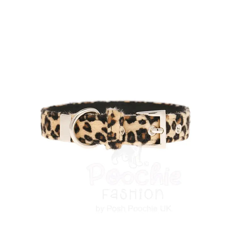 Leopard Print Fabric Dog Collar - Urban - 3