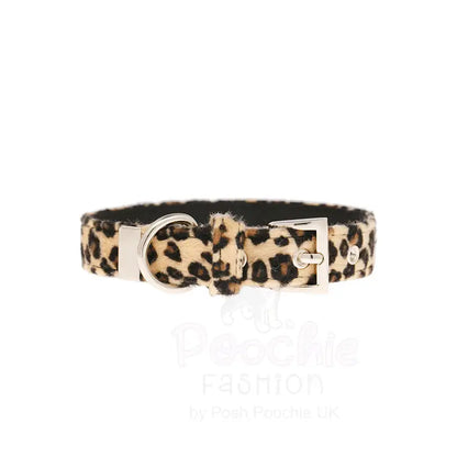 Leopard Print Fabric Dog Collar - Urban - 3
