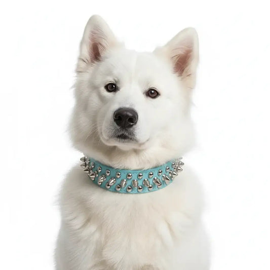 Light Blue Metro Spike Vegan Leather Dog Collar - Posh Pawz - 2